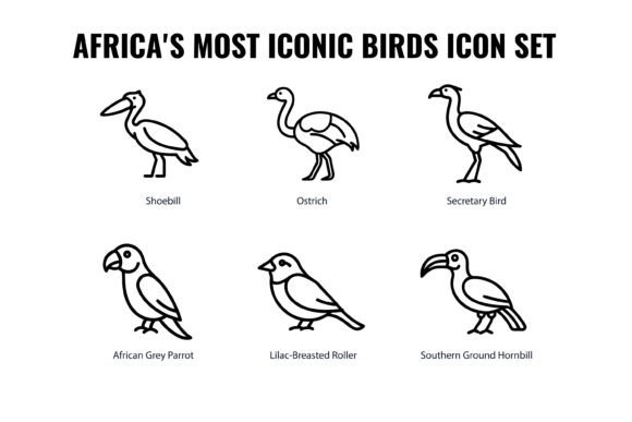 Africa’s Most Iconic Birds Icon Set: A Versatile Resource for Designers and Educators